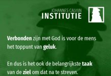 1.15.6 – De vermogens van de ziel volgens de filosofen