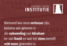 2.14.8 – De kern van Servets dwaling