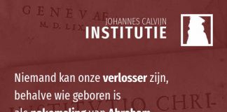 2.14.8 – De kern van Servets dwaling