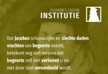 3.3.13 – Augustinus’ opvattingen over de zondigheid van de gelovigen