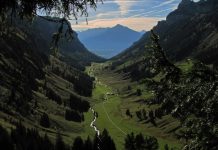 Mijn zonde als bron van vreugde