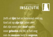 3.20.51 – Geduldig volhouden