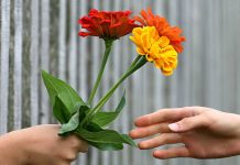 Dankbaarheid – dus nu moeten wij iets terug doen?