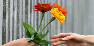 Dankbaarheid – dus nu moeten wij iets terug doen?