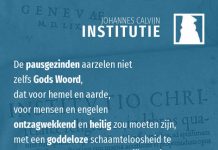 4.7.30 – Kardinalen