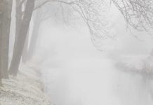 Mijn 5 meest gelezen blogs van 2016