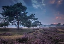 Nog een zonsondergang op het Groote Zand, maar nu met mist