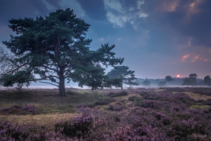 Nog een zonsondergang op het Groote Zand, maar nu met mist