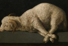 Christus heeft zichzelf gegeven als losprijs – maar aan wie?