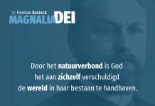 4.6 – De veranderingen na de zondvloed