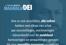 4.9 – De gemeenschappelijke basis voor alle culturen