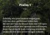 Berijming van Psalm 1