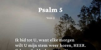 Berijming van Psalm 5