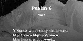 Berijming van Psalm 6
