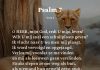 Berijming van Psalm 7