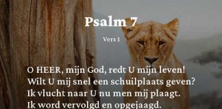 Berijming van Psalm 7