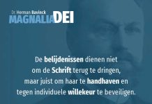 8.1 – Schriftgezag en belijden