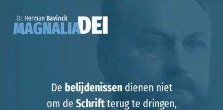 8.1 – Schriftgezag en belijden