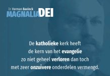 8.3 – De roomse kerk