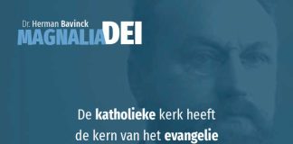 8.3 – De roomse kerk