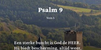 Berijming van Psalm 9