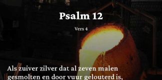Berijming van Psalm 12