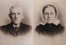 Stamreeks Van Mourik