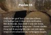 Berijming van Psalm 16