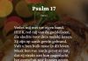 Berijming van Psalm 17