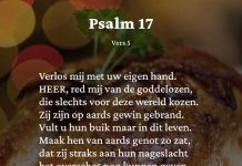 Berijming van Psalm 17