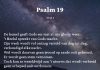 Berijming van Psalm 19