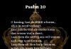 Berijming van Psalm 20