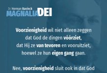 11.8 – Het verband tussen schepping en voorzienigheid