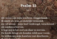 Berijming van Psalm 22