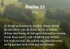 Berijming van Psalm 23
