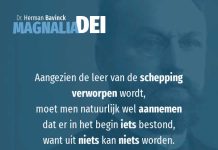12.3 – Het ontstaan van de mens volgens de evolutietheorie