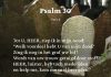 Berijming van Psalm 30