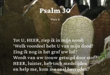 Berijming van Psalm 30