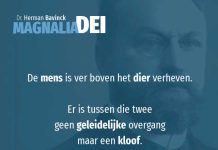 12.6 – Dieren en planten