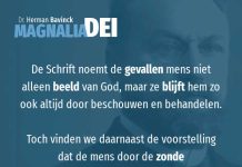12.9 – Beeld van God in engere en ruimere zin