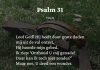 Berijming van Psalm 31