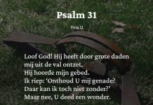 Berijming van Psalm 31