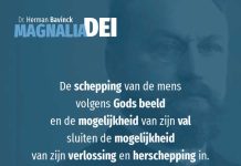 12.11 – Het beeld van God in engere zin