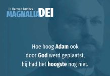 12.13 – Het proefgebod en de staat van de onschuld
