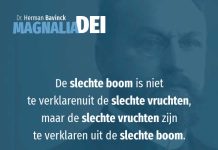 13.5 – Het pelagianisme