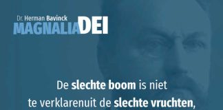 13.5 – Het pelagianisme