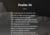 Berijming van Psalm 36