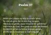 Berijming van Psalm 37