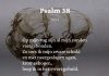 Berijming van Psalm 38