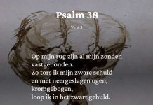 Berijming van Psalm 38